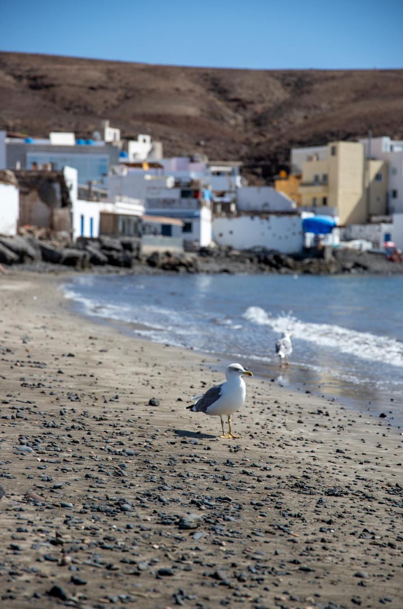 Palm Beach Fuerteventura تاراخاليخو المظهر الخارجي الصورة
